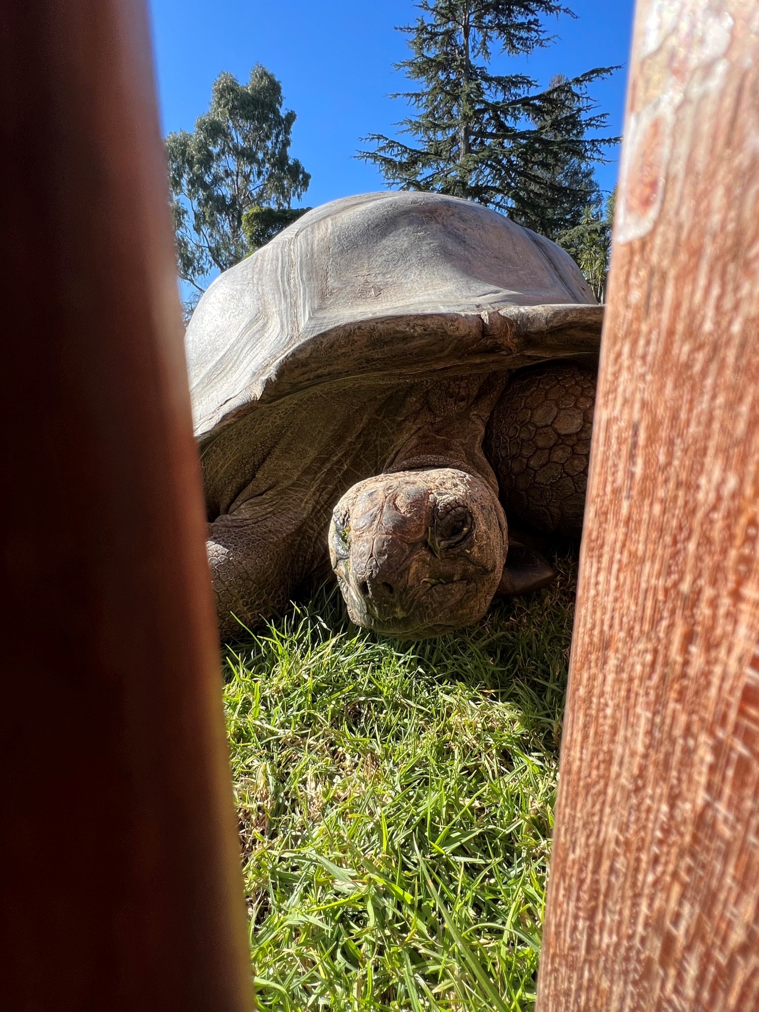 /uploaded_files/media/gallery/1659494481zoo 2.jpg